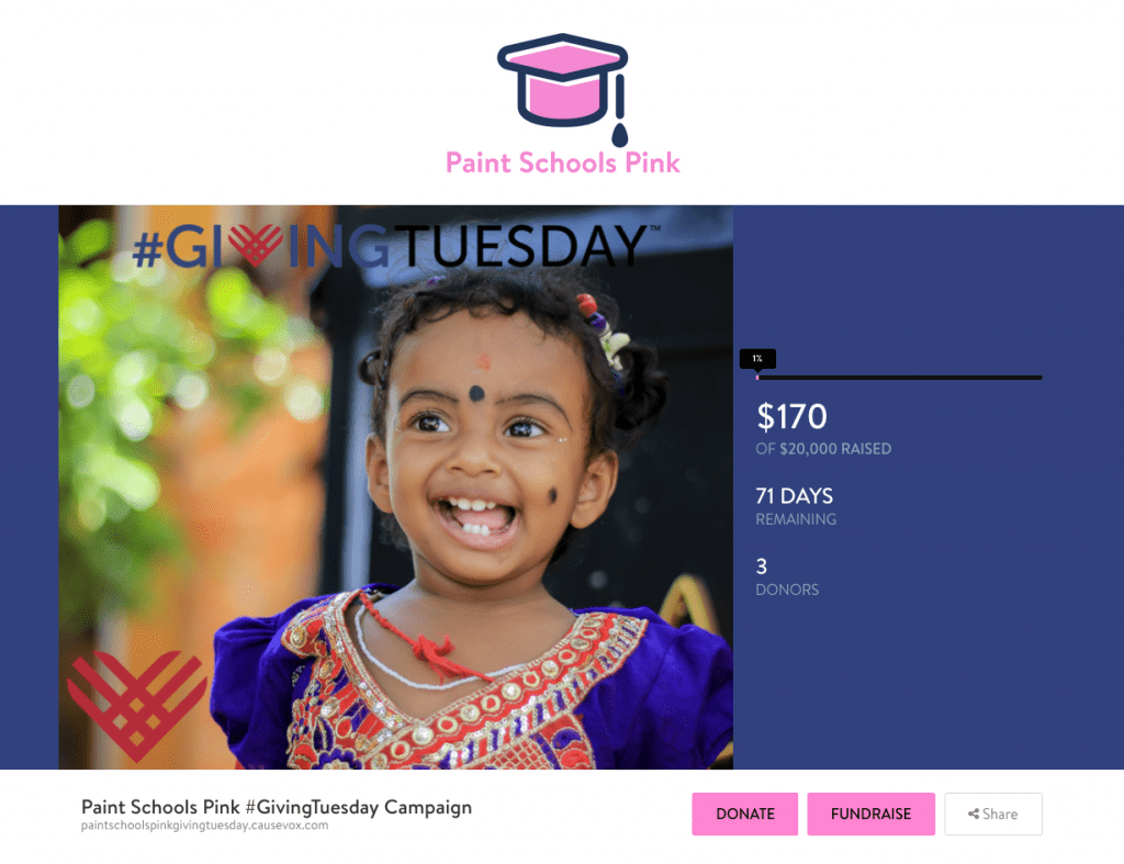 things-successful-givingtuesday-campaigns-common-paint-schools-pink