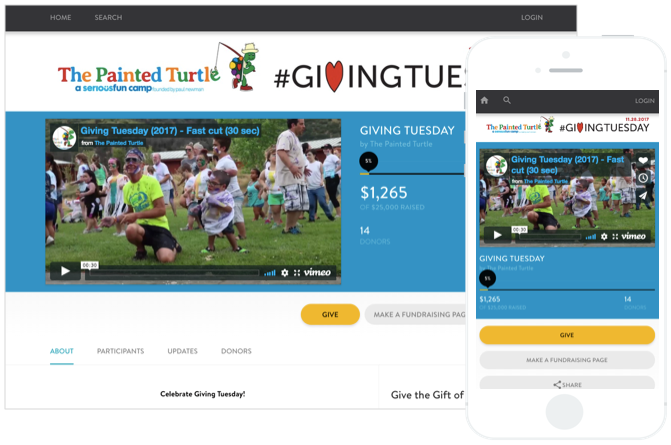 The Painted Turtle GivingTuesday 2017