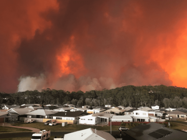 4 Charities To Donate To For The Australian Wildfires