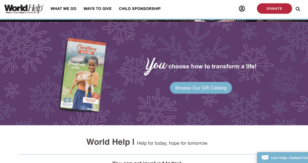 world-help-year-end-giving-website