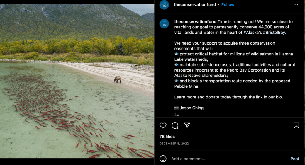 A post from The Conservation Fund with a photo of crystal clear water and swarms of fish. A bear is pacing along the beach. In the background are trees leading up to a mountain.