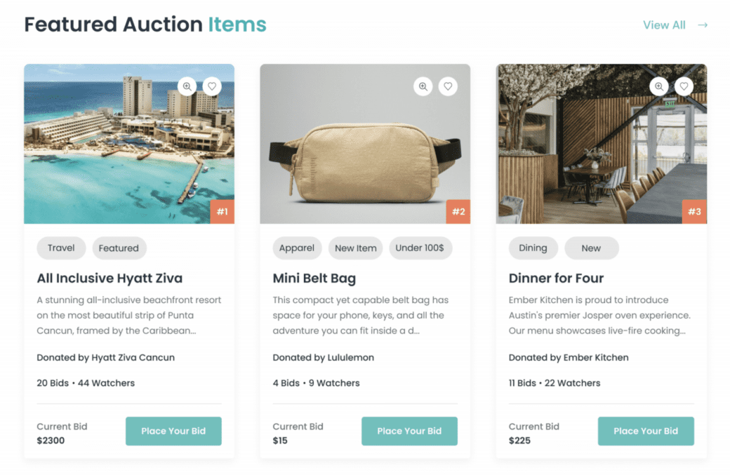 causevox-silent-auctions-featured-items